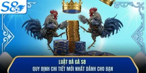 Luật Đá Gà S8 - Quy Định Chi Tiết Mới Nhất Dành Cho Bạn